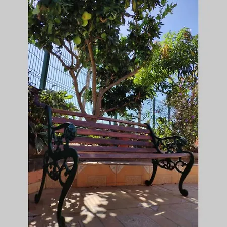 The Corner Garden - Sonnenland