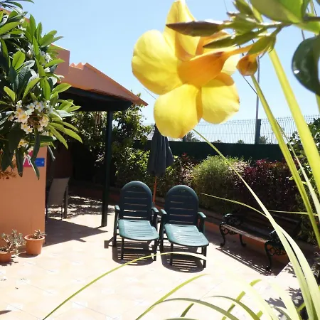 The Corner Garden - Sonnenland